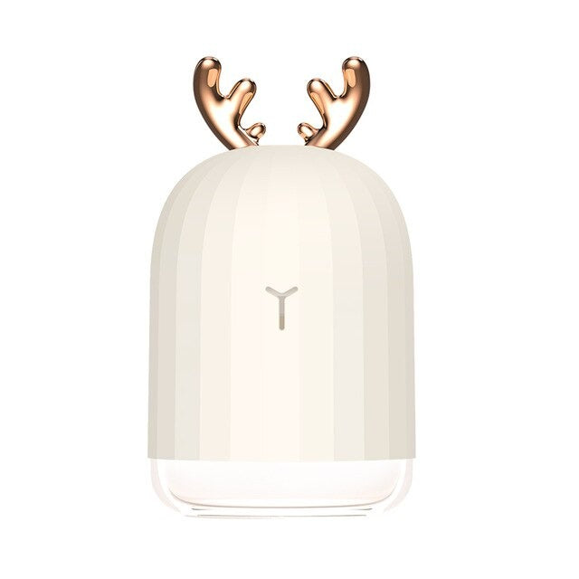 Ultrasonic Air Humidifier and Oil Diffuser packaging view